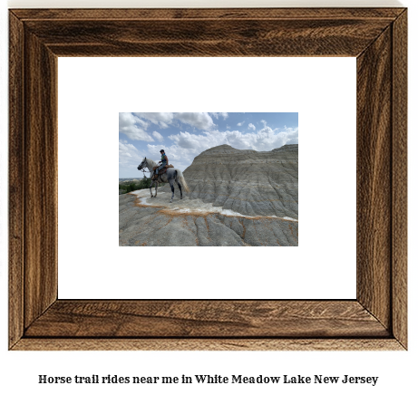 horse trail rides near me in White Meadow Lake, New Jersey